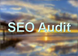 SEO Audit in Orange County