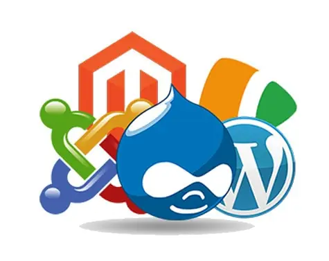 Professional Custom CMS 