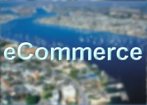 eCommerce SEO Services in OC