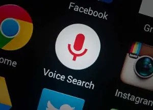Voice Search Service